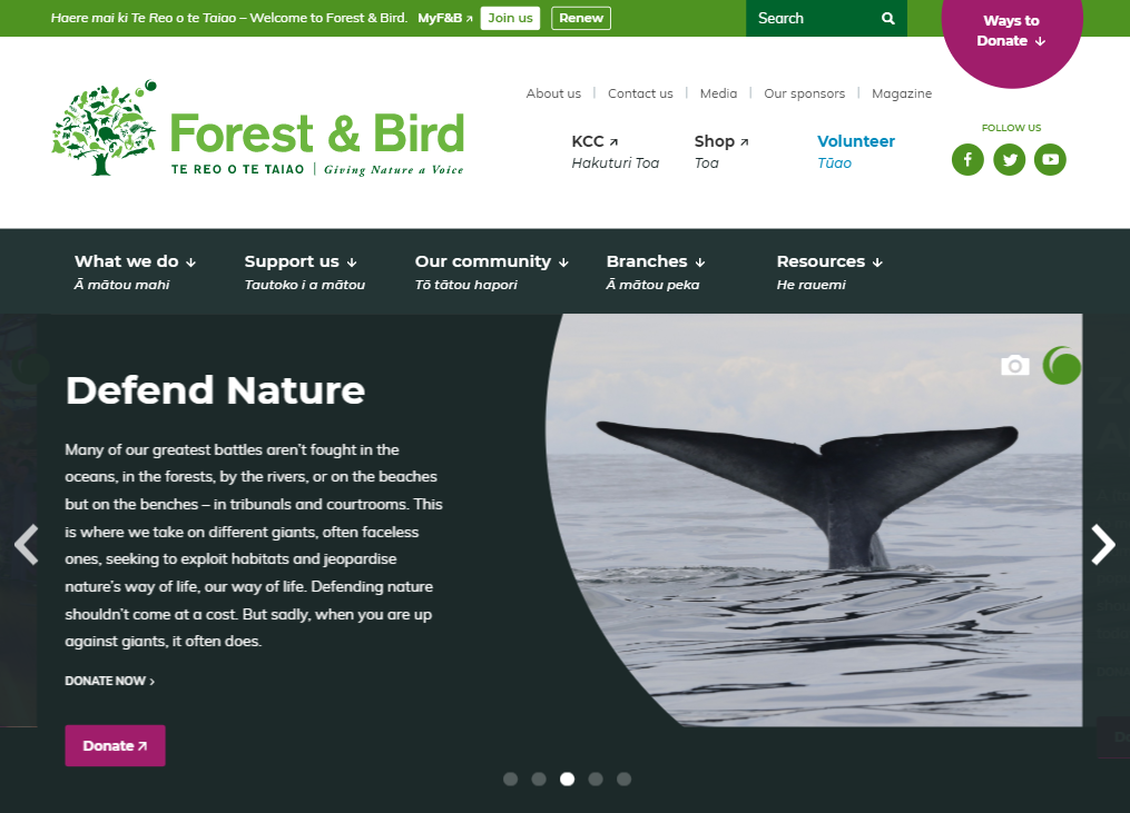 Screenshot - Forest & Bird website homepage