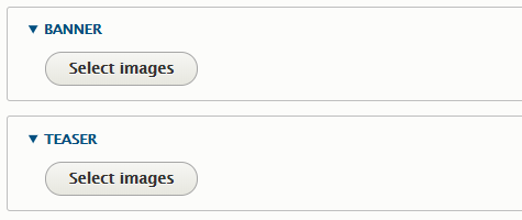 Screenshot of banner and teaser fields