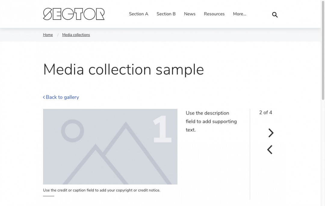 Screenshot of media gallery (single page) on the Sector demo
