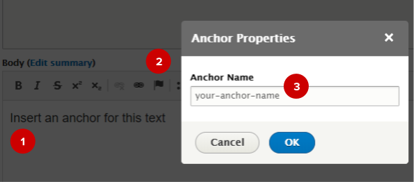 Screenshot of anchor pop-up box in WYSIWYG editor
