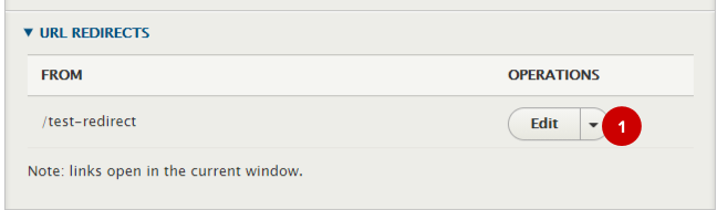 Screenshot - ‘URL redirects’ in the settings of a node edit form