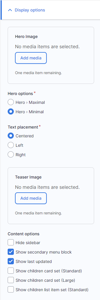 Screenshot of display options for a page